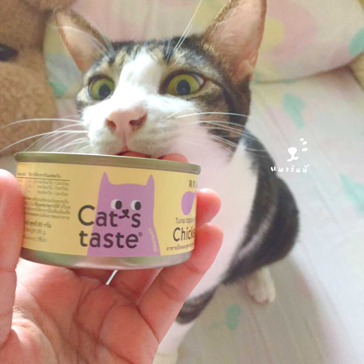 อาหารเปียกแมว Cat's taste ไม่เติมเกลือ