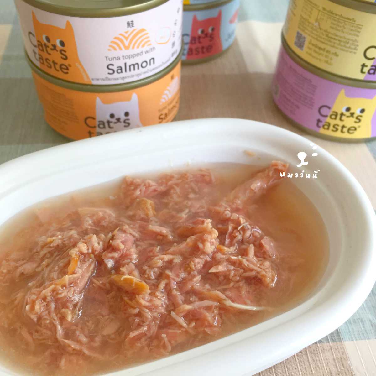 อาหารเปียกแมว ไม่เติมเกลือ