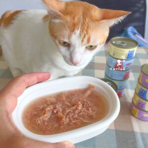 อาหารเปียกแมวคุณภาพดี